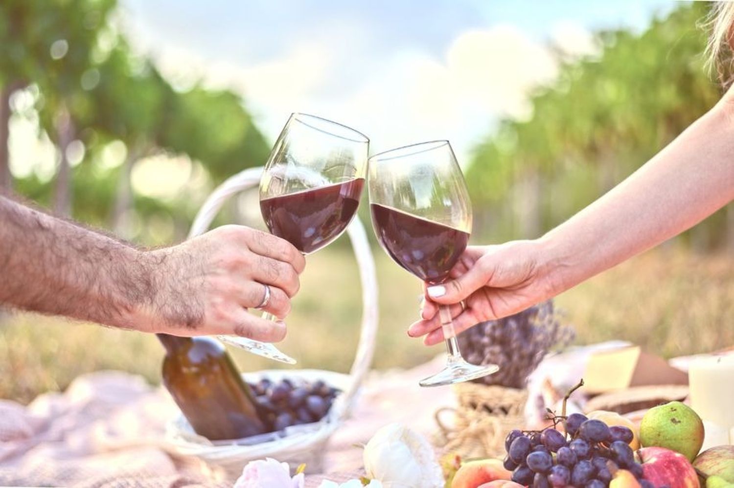 La Ruta del Vino Bonaerense: un viaje entre aromas, paisajes y sabores únicos